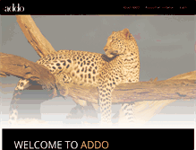 Tablet Screenshot of addo.com